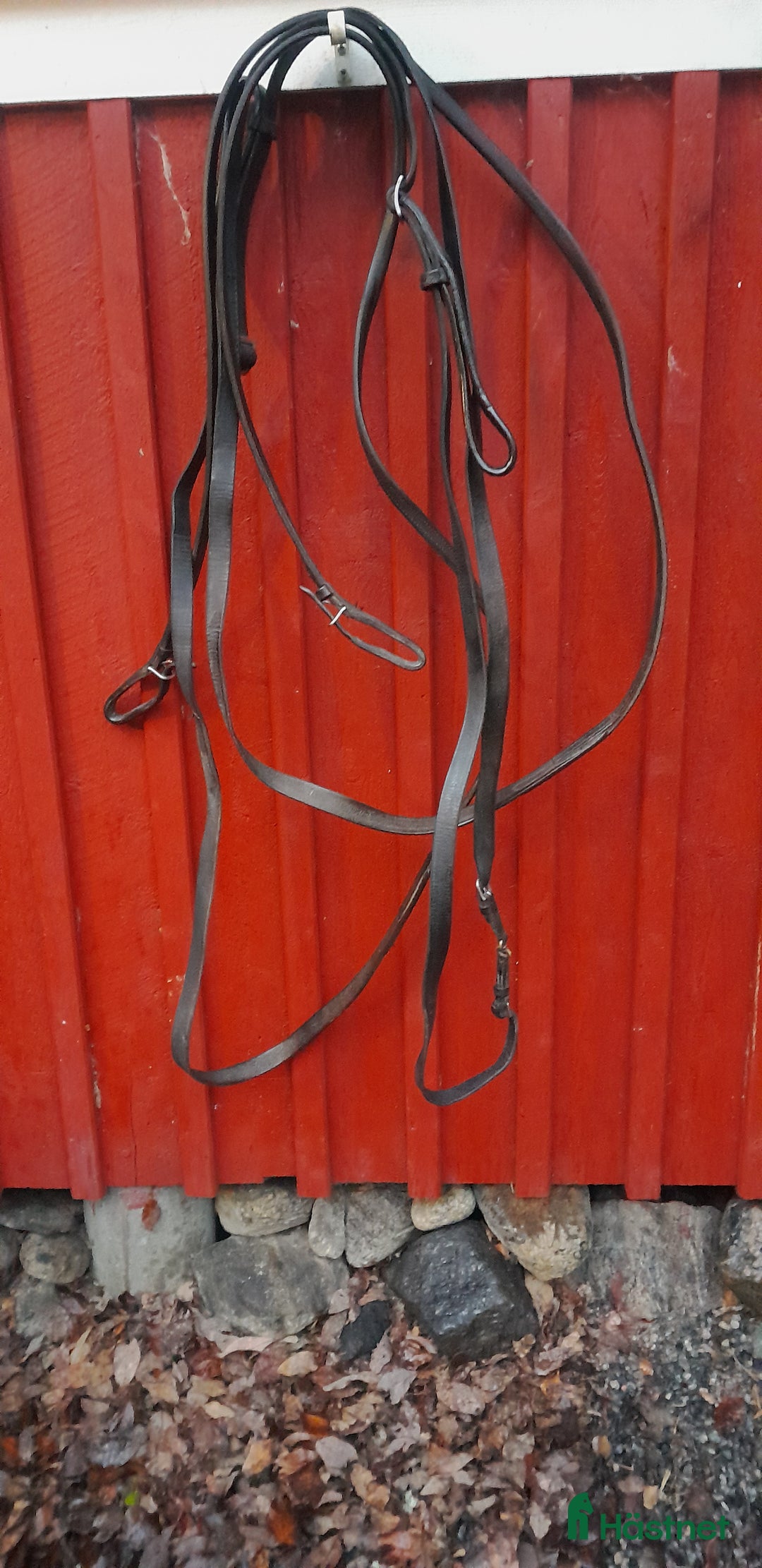 Travselar trav till salu: Travsele huvudlag lång tömmar  i Sorunda - Annons 2