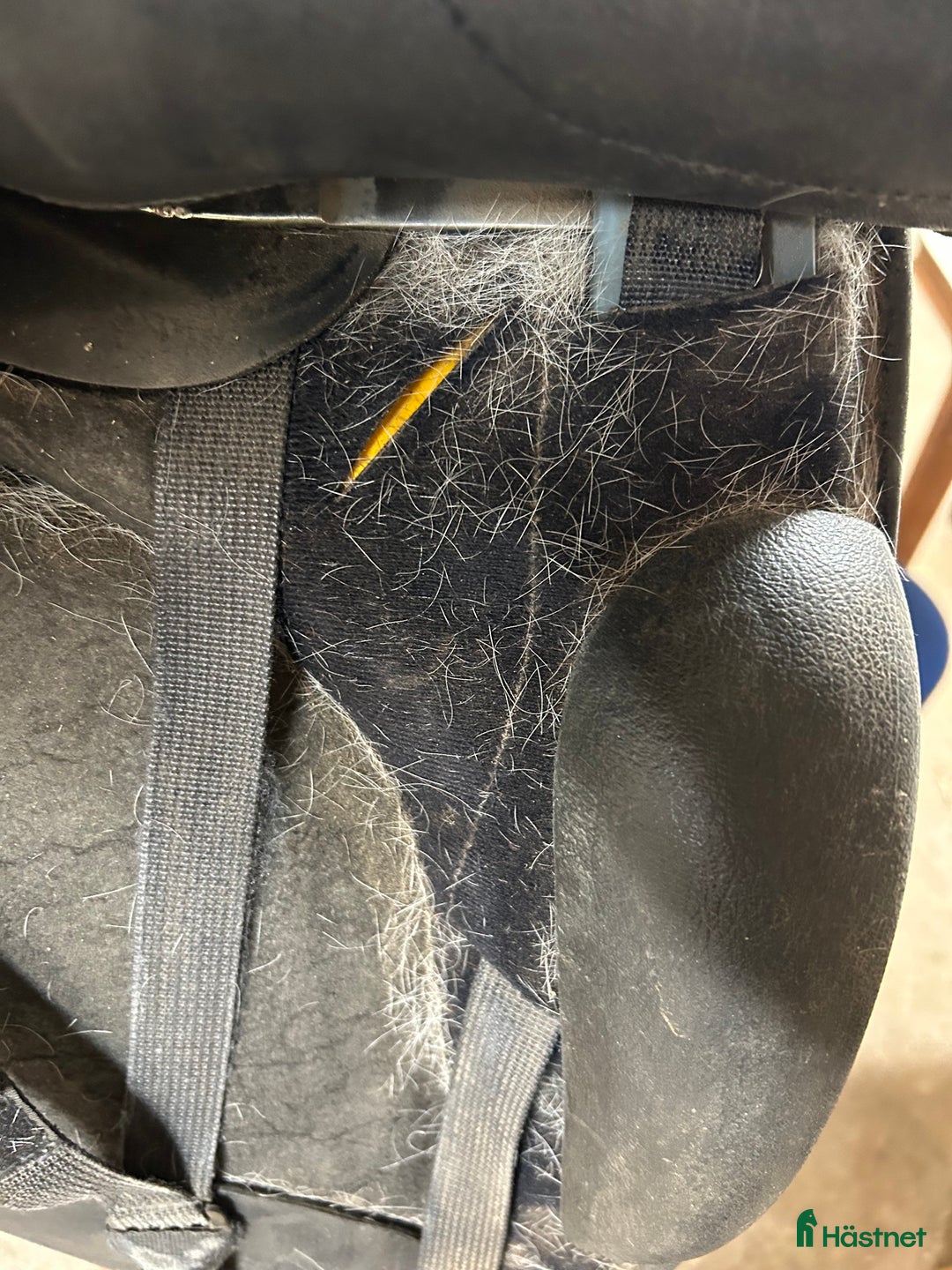 Sadlar hästutrustning till salu: Wintec sadel  i Listerby - Annons 7