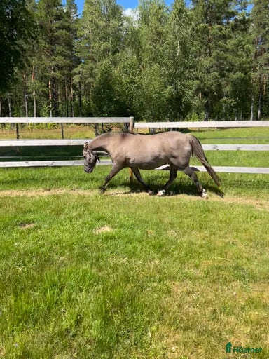 Galleribild {{count}}