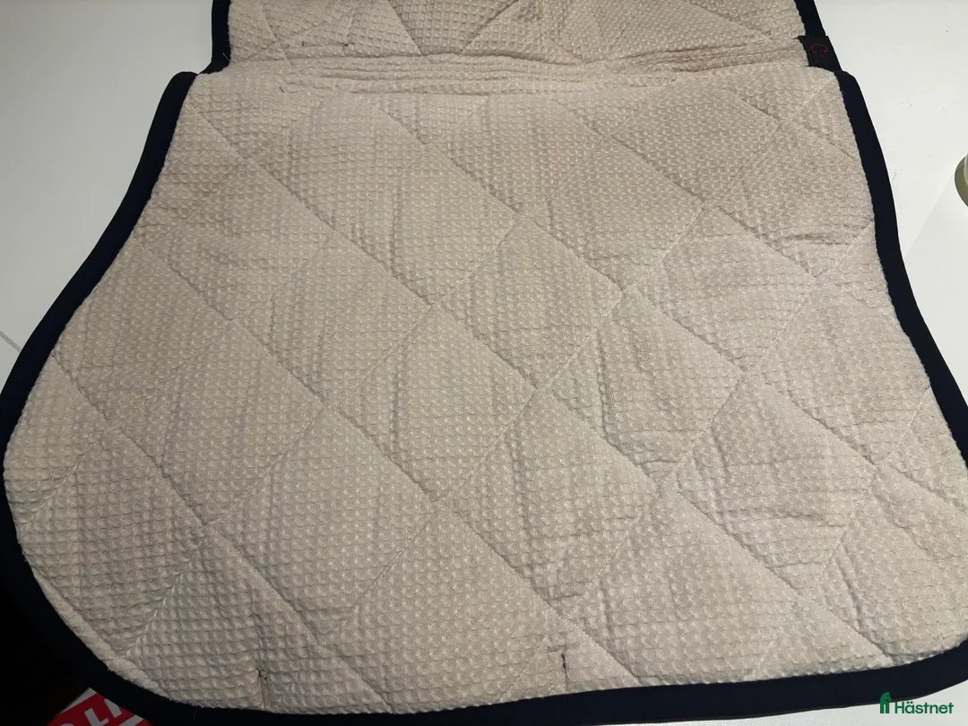 Schabrak & Vojlockar hästutrustning till salu: Cavalleria Toscana i Knivsta - Annons 4