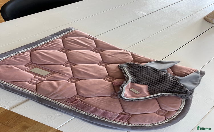 Schabrak & Vojlockar hästutrustning till salu i Onsala - Annons 7