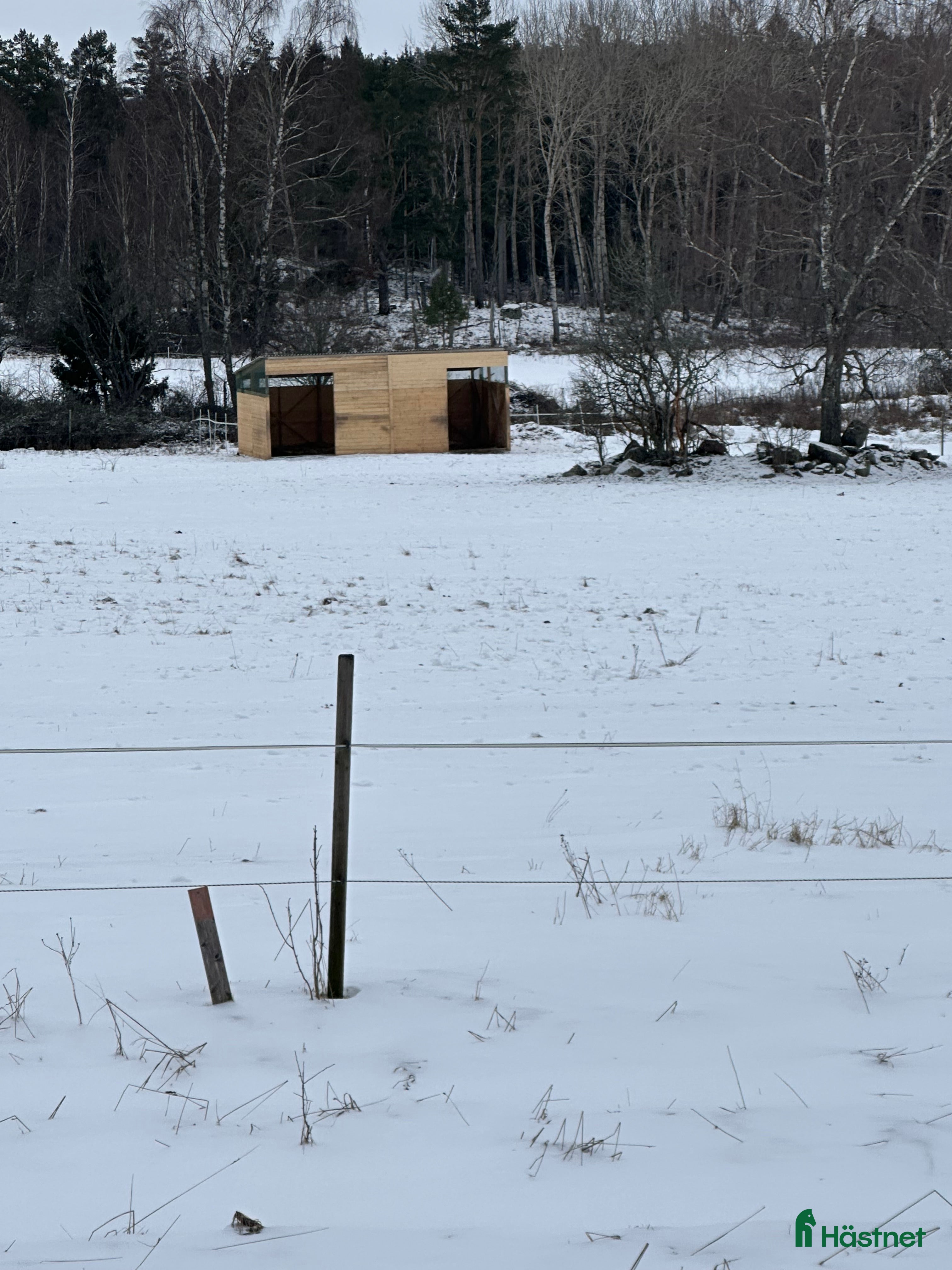  stallplats Lösdriftsplats finnes i Upplands Väsby - Annons 4