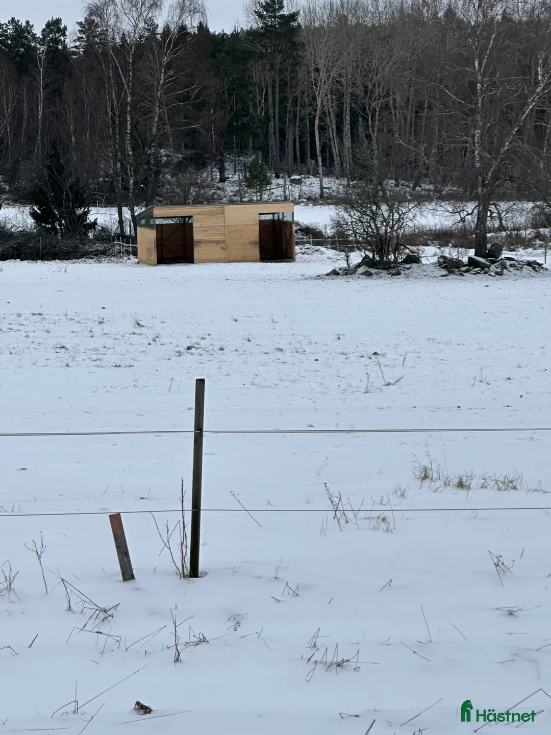  stallplats finnes: Lösdriftsplats finnes i Upplands Väsby - Annons 1