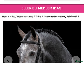 Träns hästutrustning till salu: Träns i Örsundsbro - Annons 4