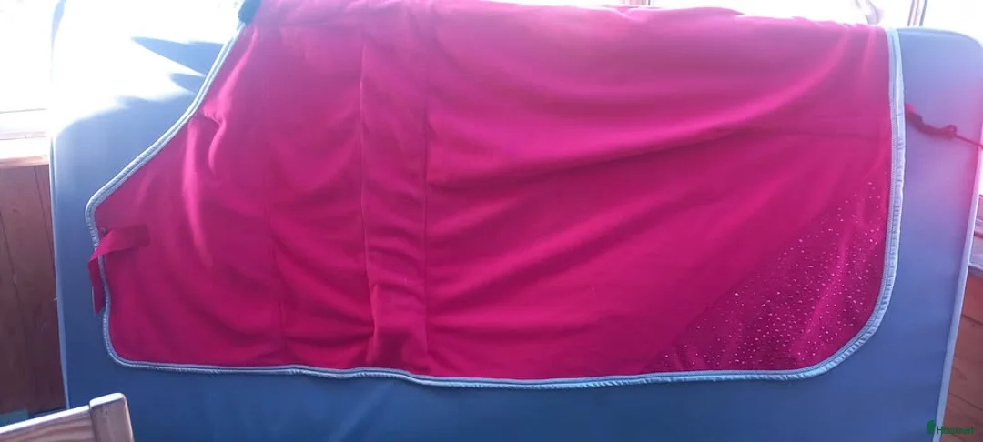 Täcken hästutrustning till salu: fleecetäcke - Annons 1