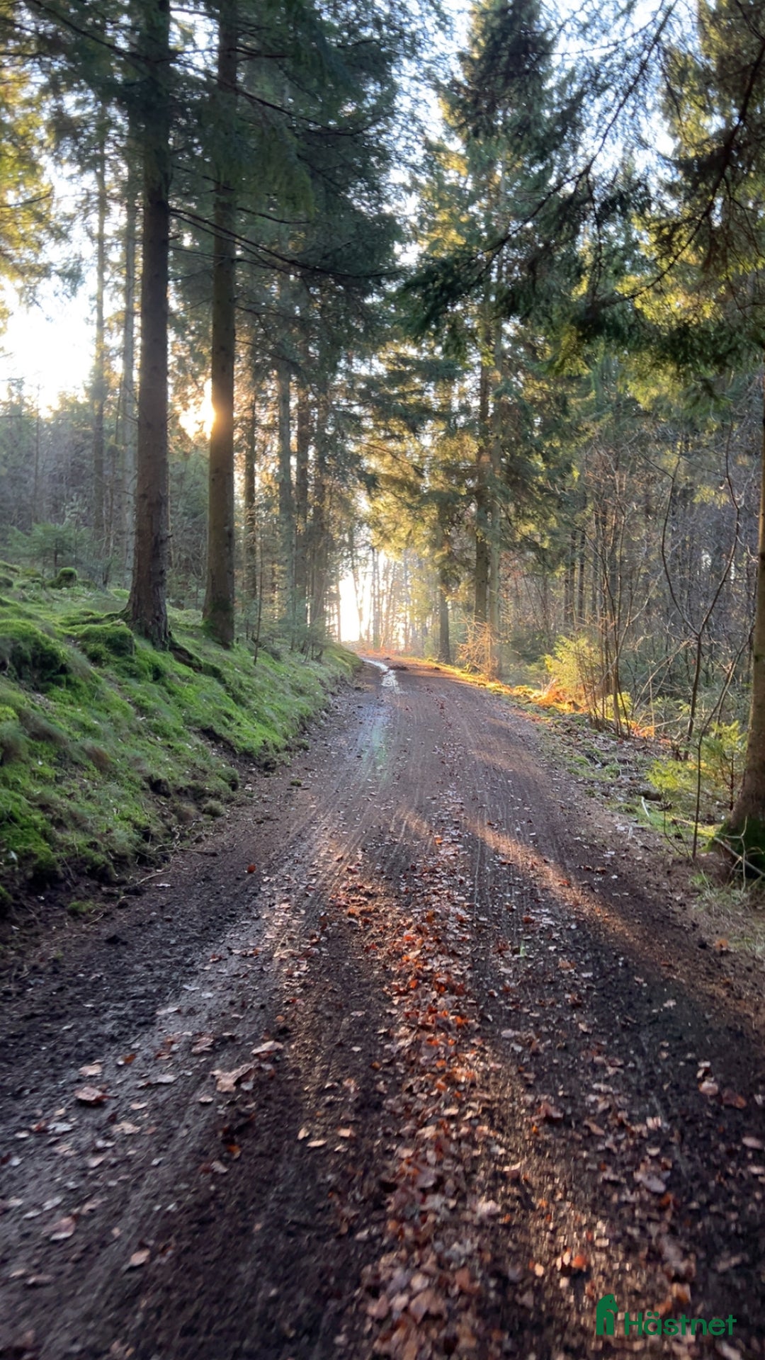  stallplats finnes: Lösdrift plats finnes i Varberg - Annons 4