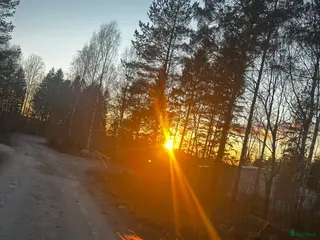hästar SÖKES – D-ponny till ett för-alltid-hem ❤️ - Annons 1