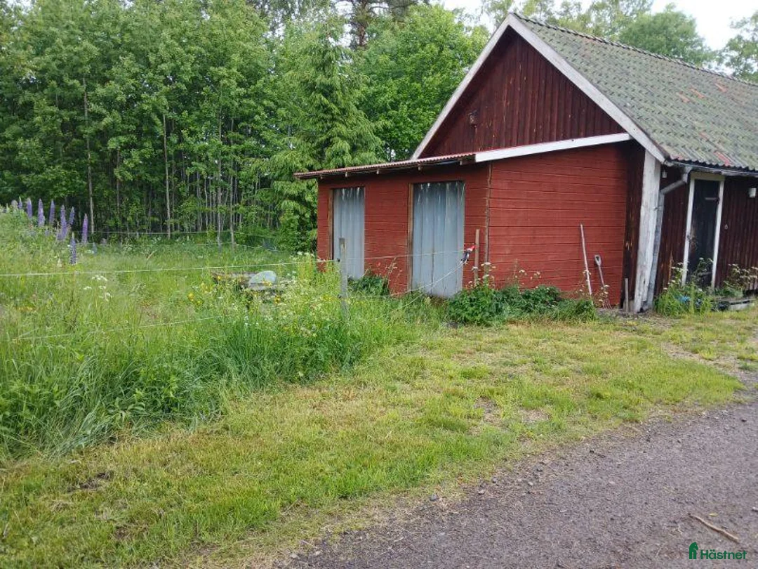  stallplats finnes: Lägenhet med möjlighet till att ha häst i Kumla - Annons 6