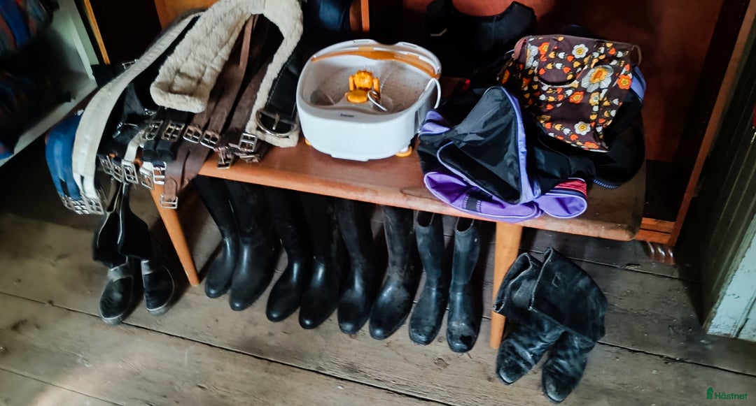 Täcken hästutrustning till salu: Second Häst  i Björklinge - Annons 5