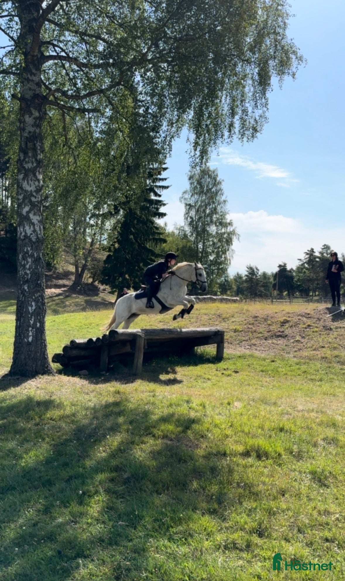  hästar Hopp / Fälttävlans ponny  - Annons 2