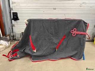 Täcken hästutrustning till salu: Ulltäcke från showmaster i Täby - Annons 16