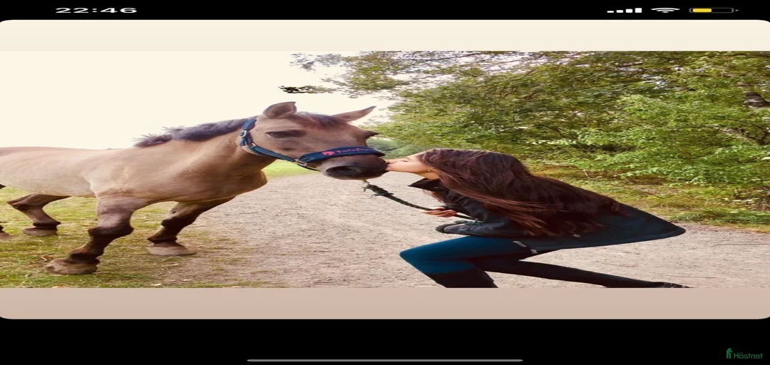 Galleribild {{count}}