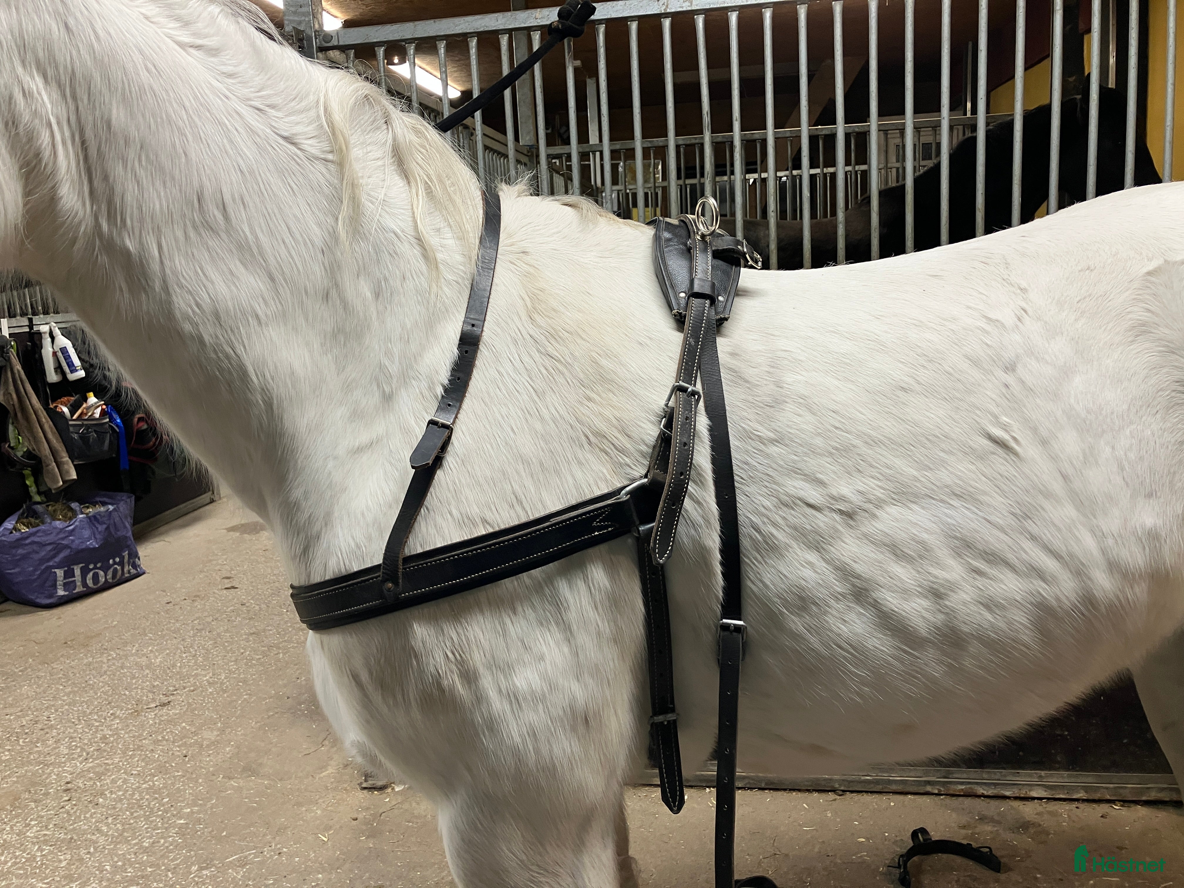 Körselar körning till salu: Bröstsele stl full i Vintrosa - Annons 4