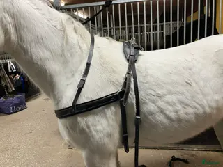 Körselar körning till salu: Bröstsele stl full i Vintrosa - Annons 12