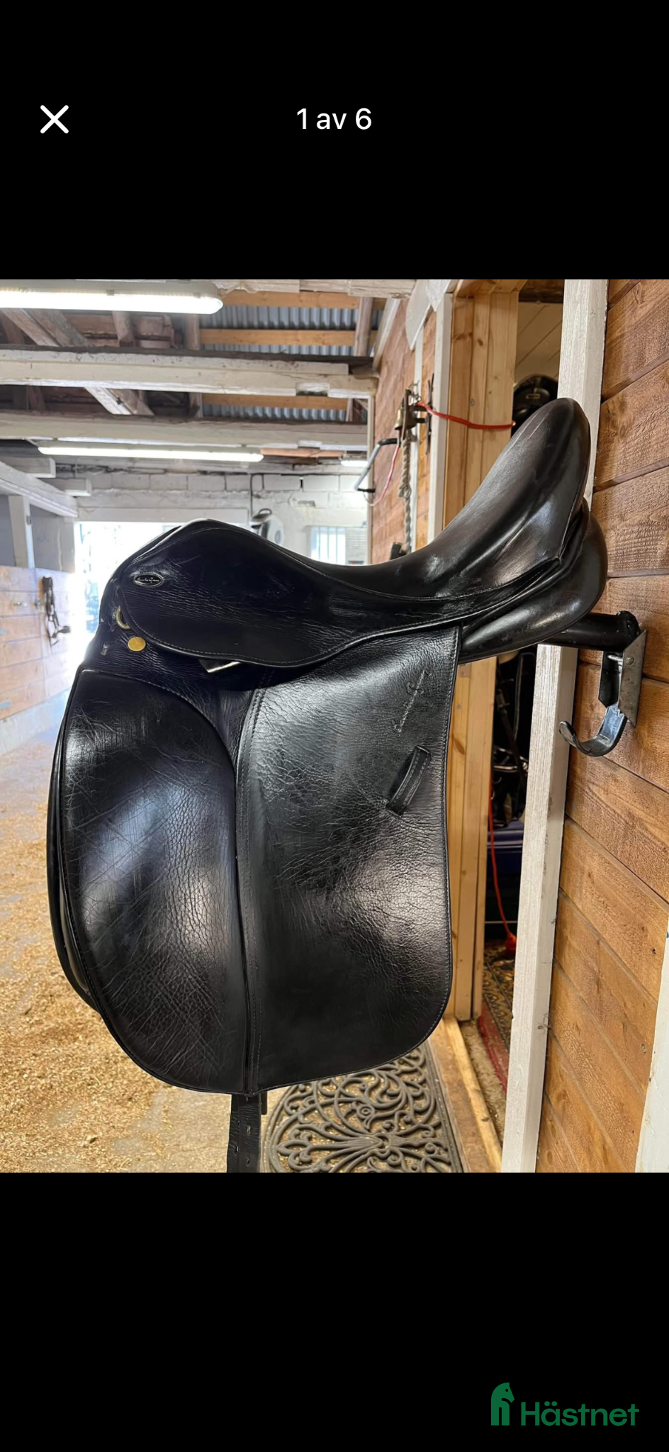 Sadlar hästutrustning Santa Cruz Arthur - Annons 1