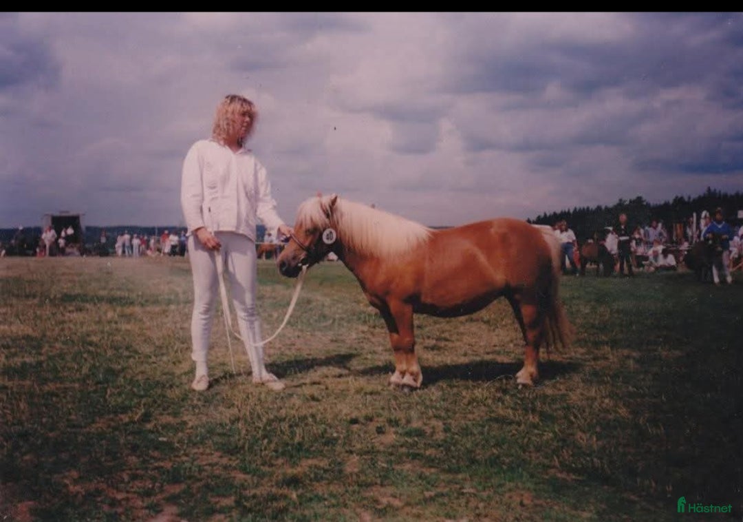 Galleribild {{count}}