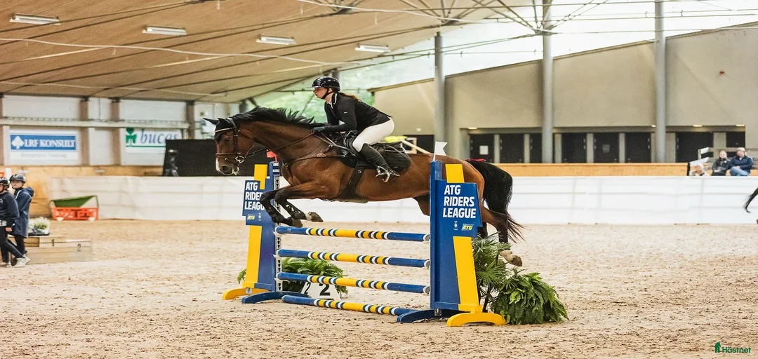 Galleribild {{count}}