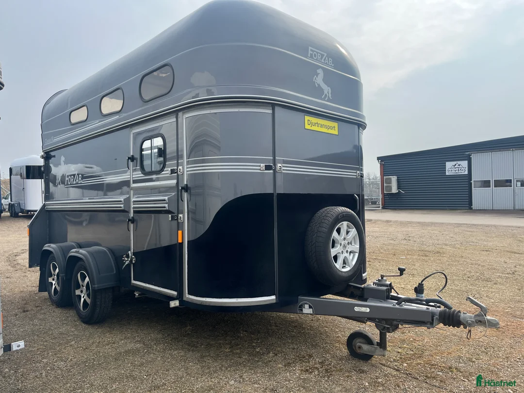 Hästtransporter  fordon & transport till salu: Forzab Classic SEH235XL momsad - Annons 8