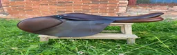 Sadlar hästutrustning till salu: Frank Baines hoppsadel - Annons 2