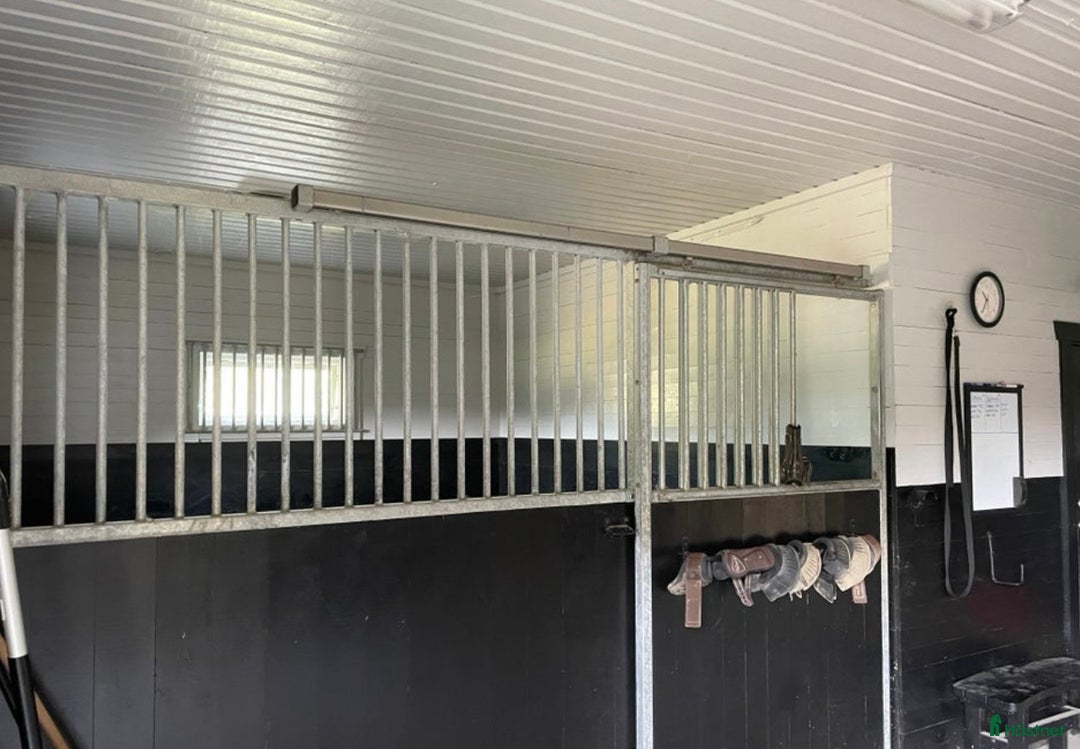  stallplats finnes: Två boxplatser på stall Rydbolund i Tollarp - Annons 6