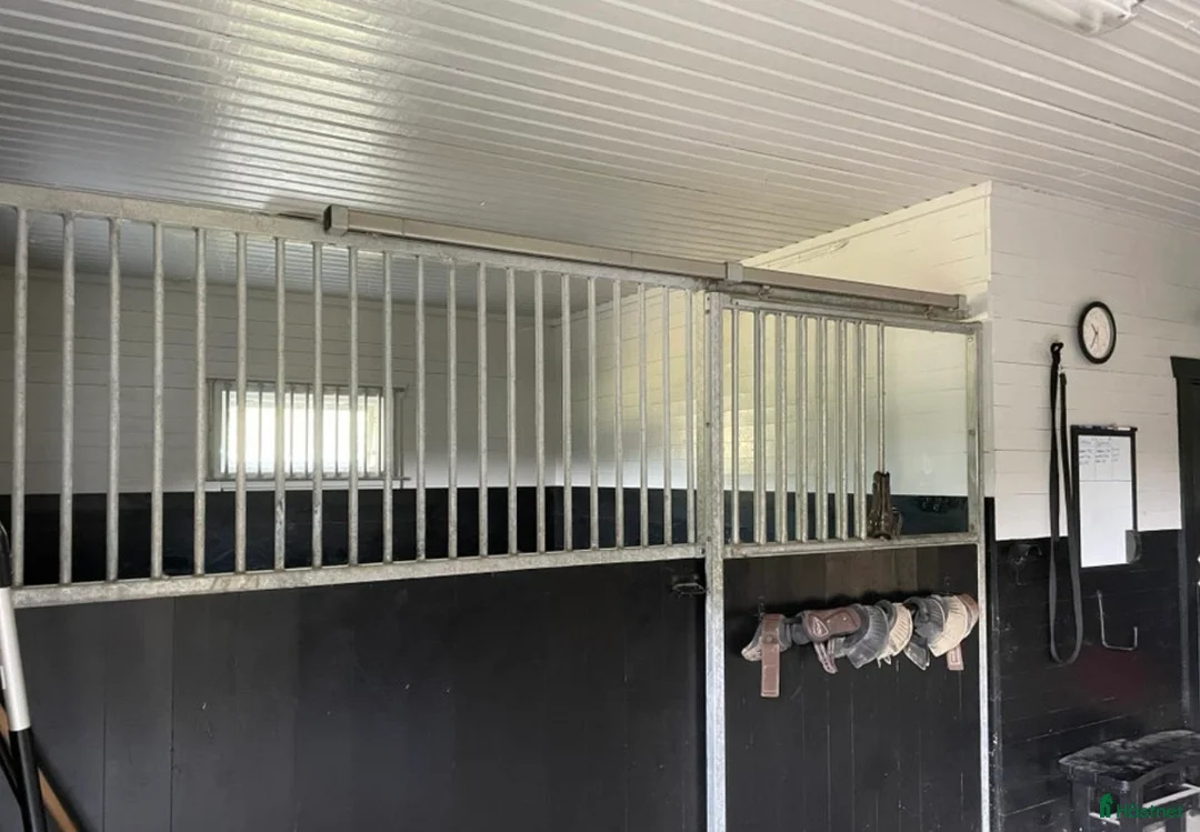  stallplats finnes: Två boxplatser på stall Rydbolund i Tollarp - Annons 6