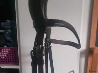 Träns hästutrustning Bettlöst träns, brunt stl Full - Annons 5