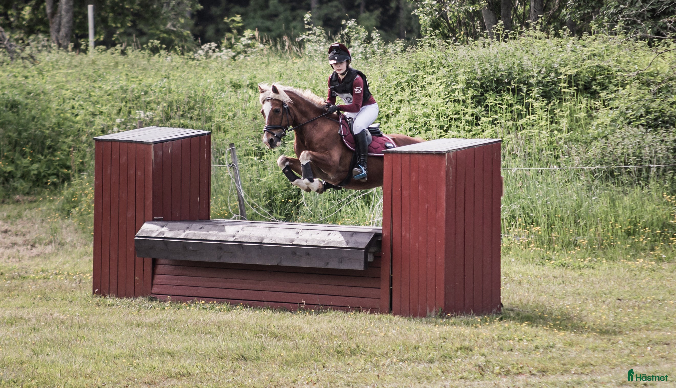  hästar Ny kompis för fälttävlan sökes! - Annons 1