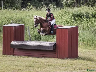 hästar Ny kompis för fälttävlan sökes! - Annons 1