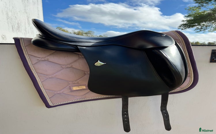 Sadlar hästutrustning till salu i Falköping - Annons 13