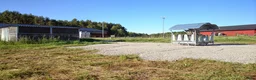  stallplats finnes: Lösdrift för sto - Annons 4