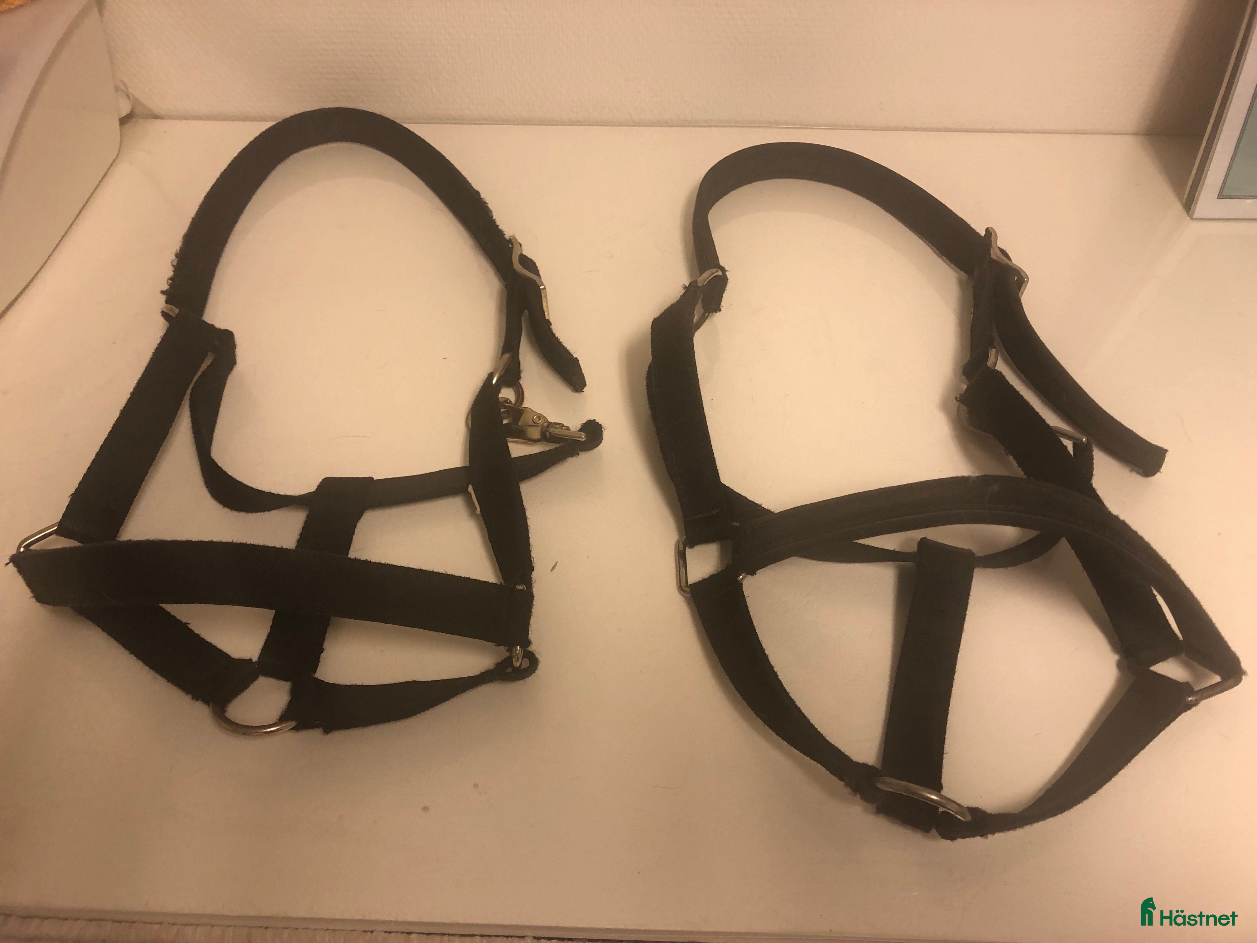 Övrig Hästutrustning hästutrustning Grimma i Härryda - Annons 24