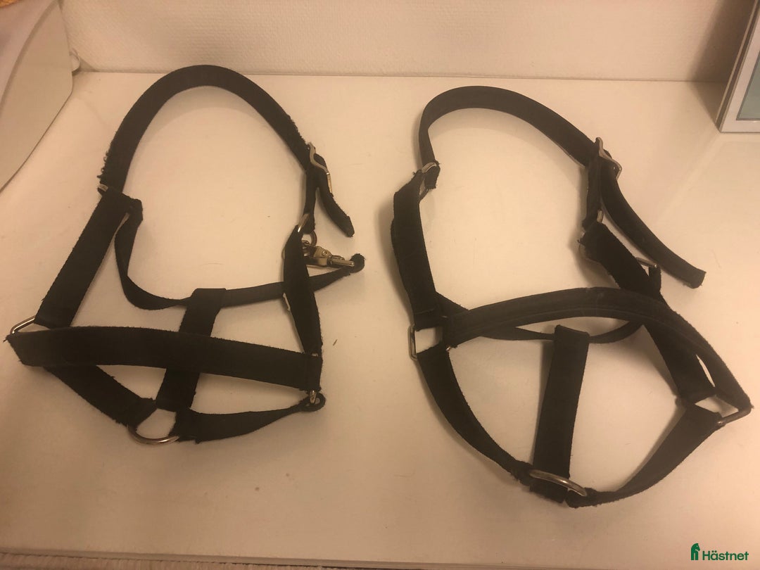 Övrig Hästutrustning hästutrustning till salu: Grimma i Härryda - Annons 1