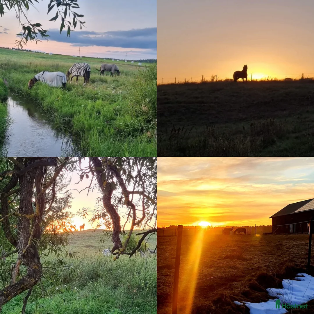  stallplats finnes: Stallplats mellan Kungsör/Eskilstuna - Annons 2