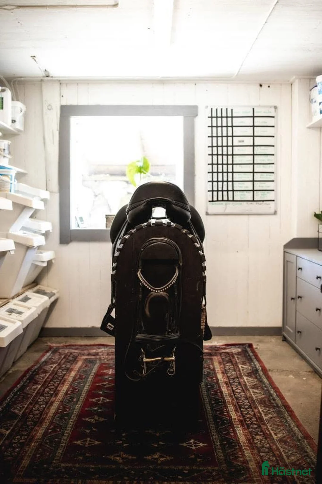  stallplats finnes: Fullservice alla dagar året om - Annons 2