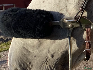 Bett hästutrustning till salu: Brunt hackamore i Söderköping - Annons 1