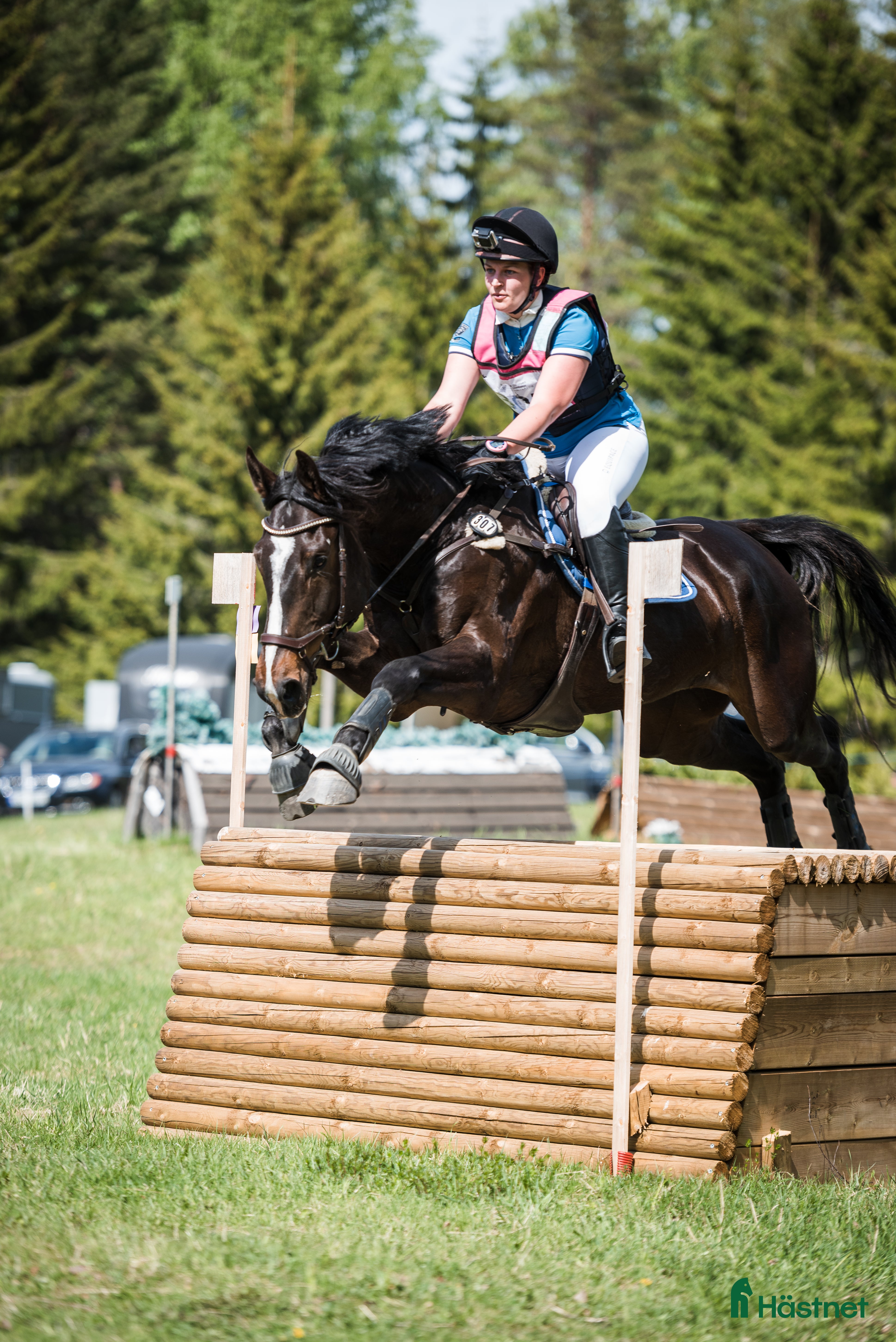  hästar Fälttävlan/hopphest som elsker å jobbe i Råde - Annons 2