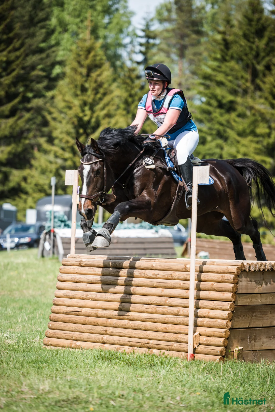 Hoppning hästar till salu: Fälttävlan/hopphest som elsker å jobbe i Råde - Annons 1