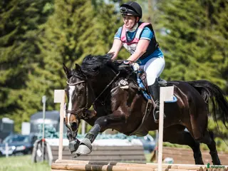 hästar Fälttävlan/hopphest som elsker å jobbe i Råde - Annons 2