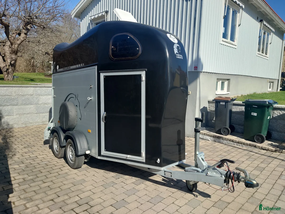 Hästtransporter  fordon & transport till salu: Cheval Liberté Gold One  - Annons 1