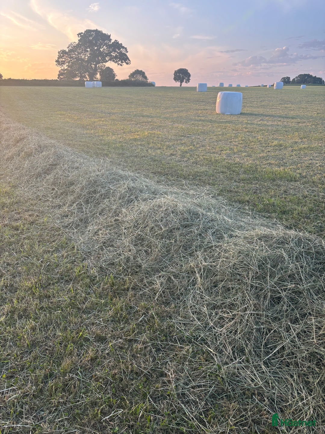  hästservice finnes: Hösilage i Höör - Annons 2