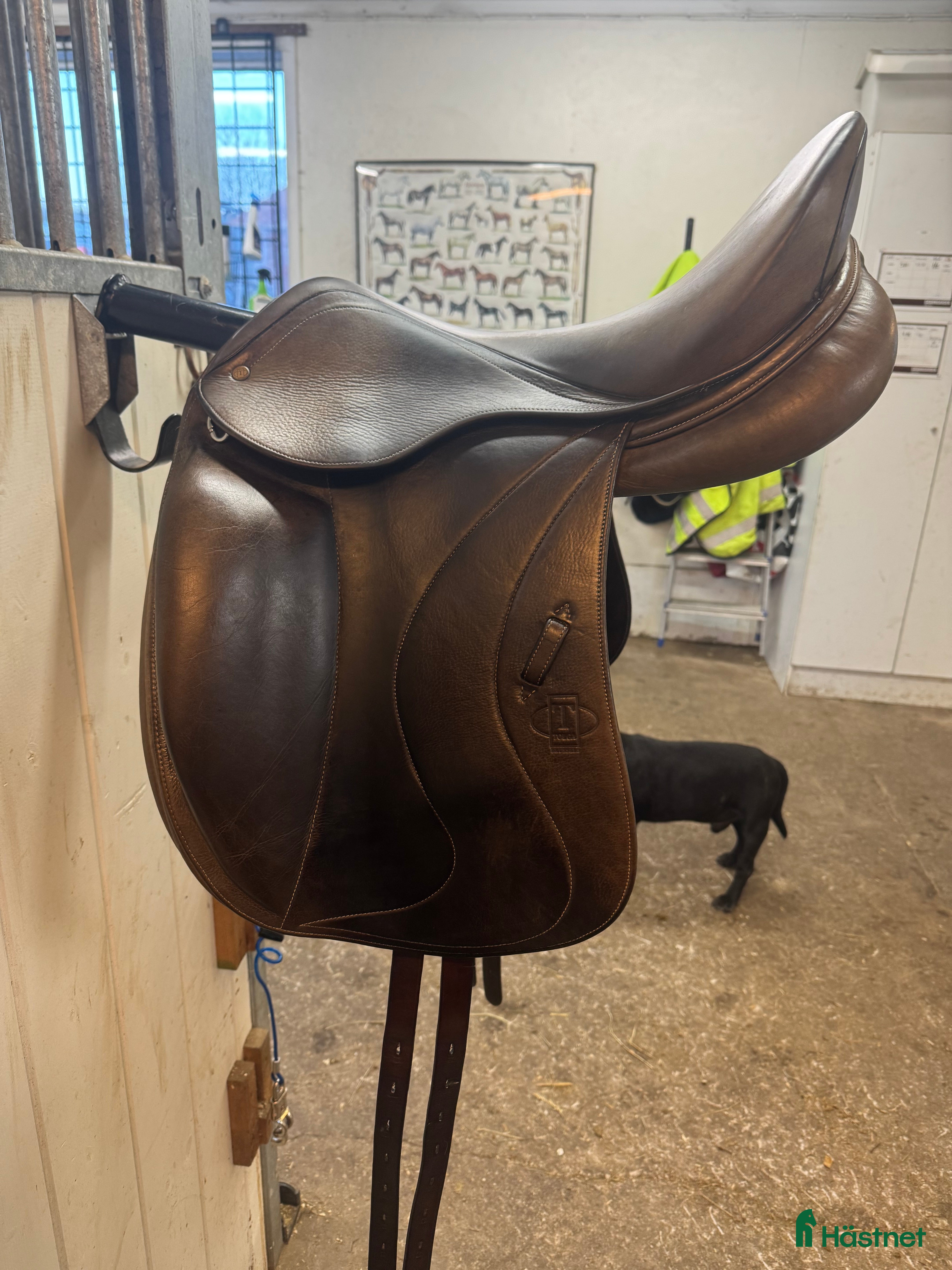 Sadlar hästutrustning Tolga dressyrsadel  - Annons 13