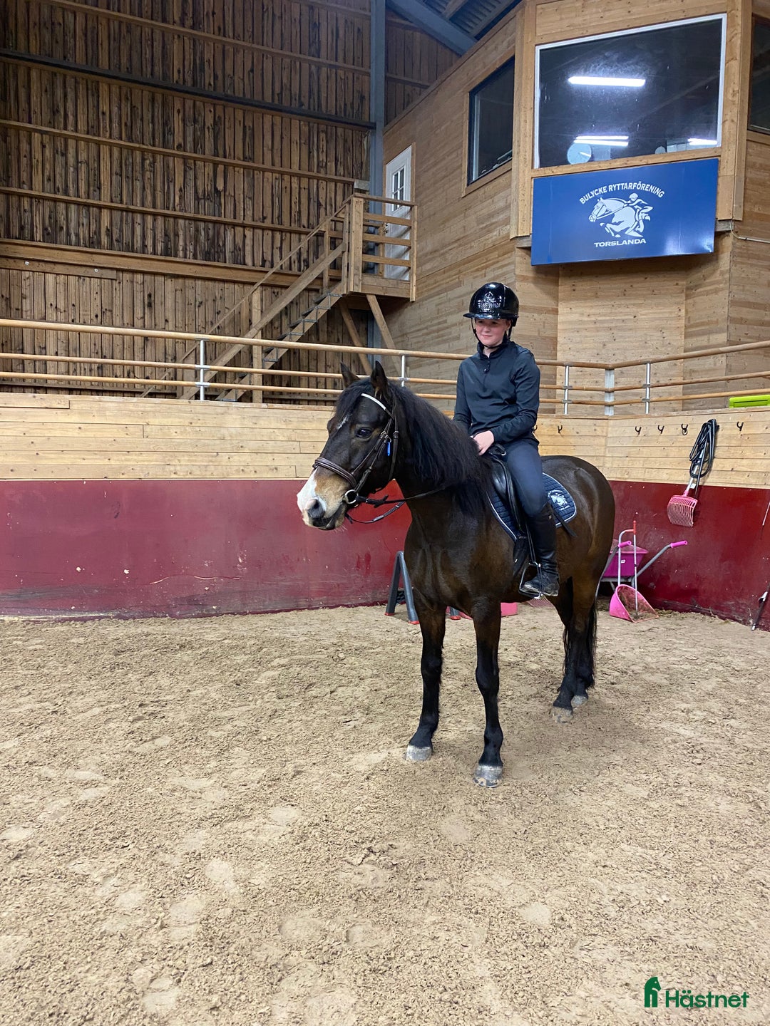 Allround hästar till salu: Snäll gullig ponny. i Torslanda - Annons 2