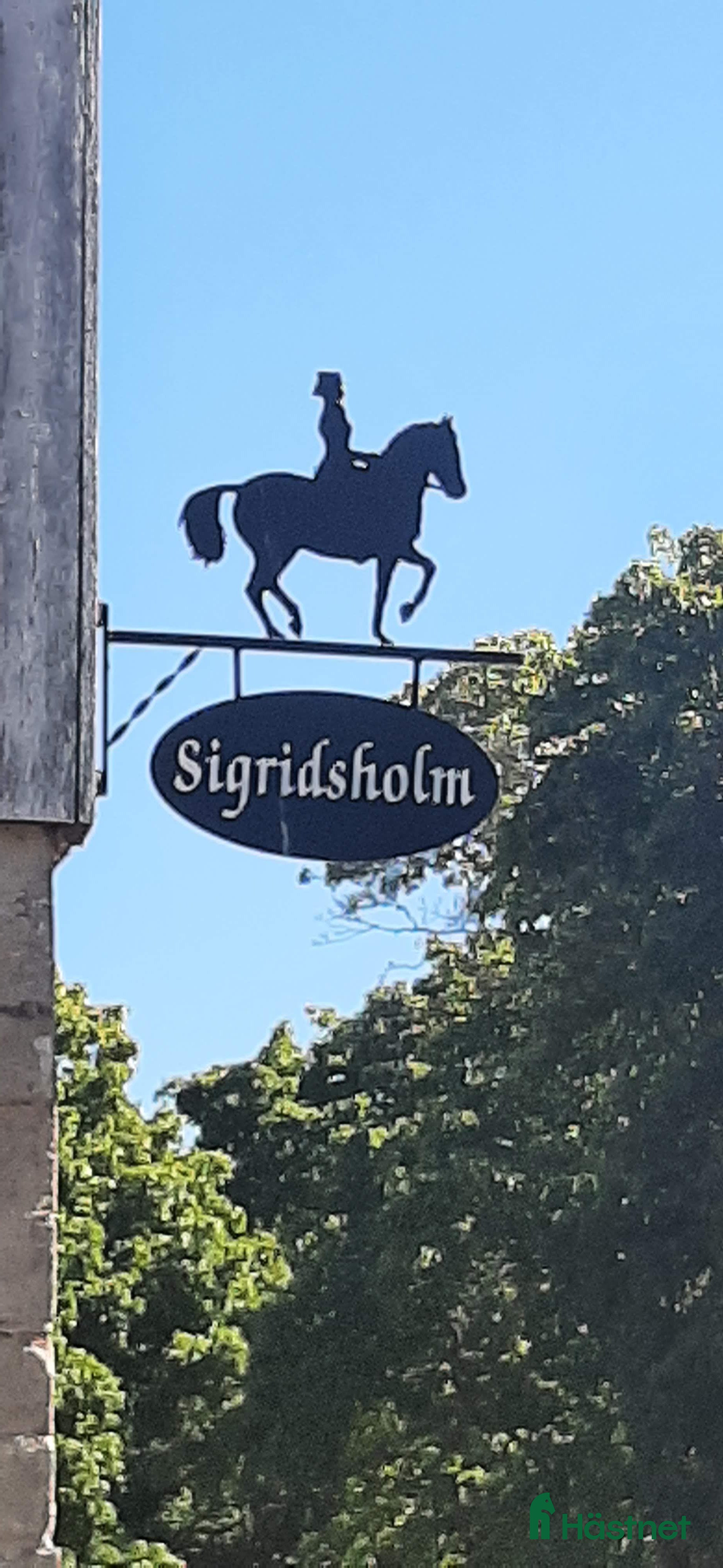  stallplats Lediga boxar nära Arlanda i Arlandastad - Annons 17