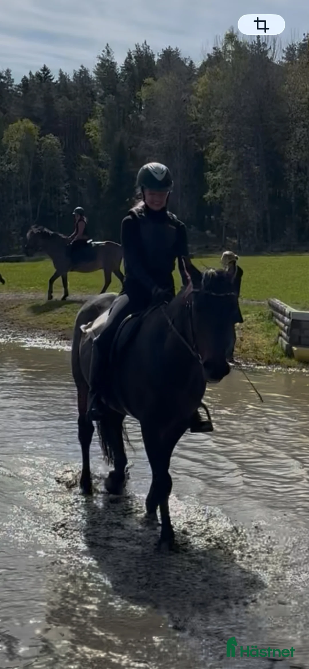  medryttarhäst sökes: Jag söker min medryttarhäst!! i Rönninge - Annons 4