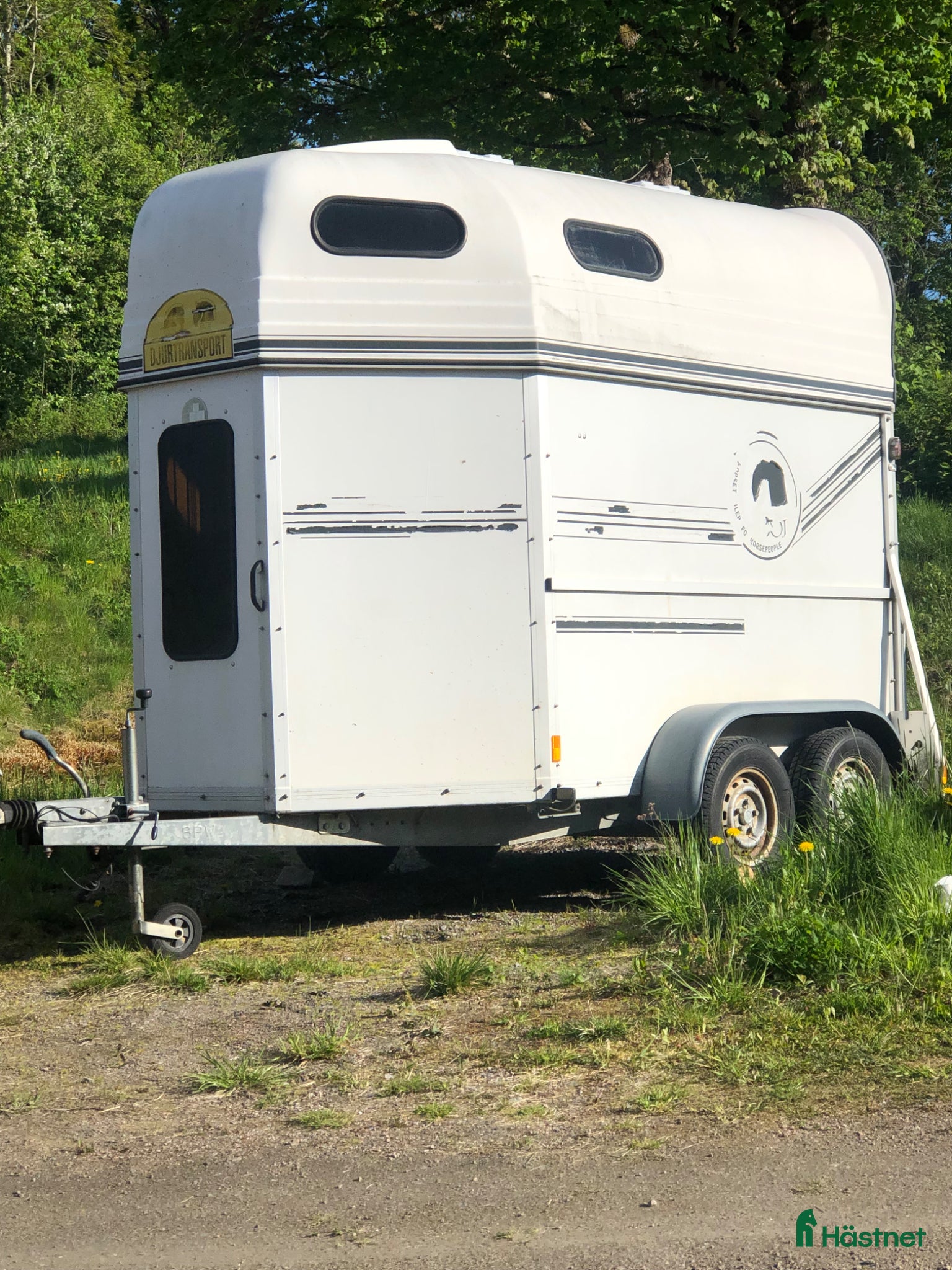 Hästtransporter  fordon & transport till salu: Boj bravo EH 14 - Annons 10