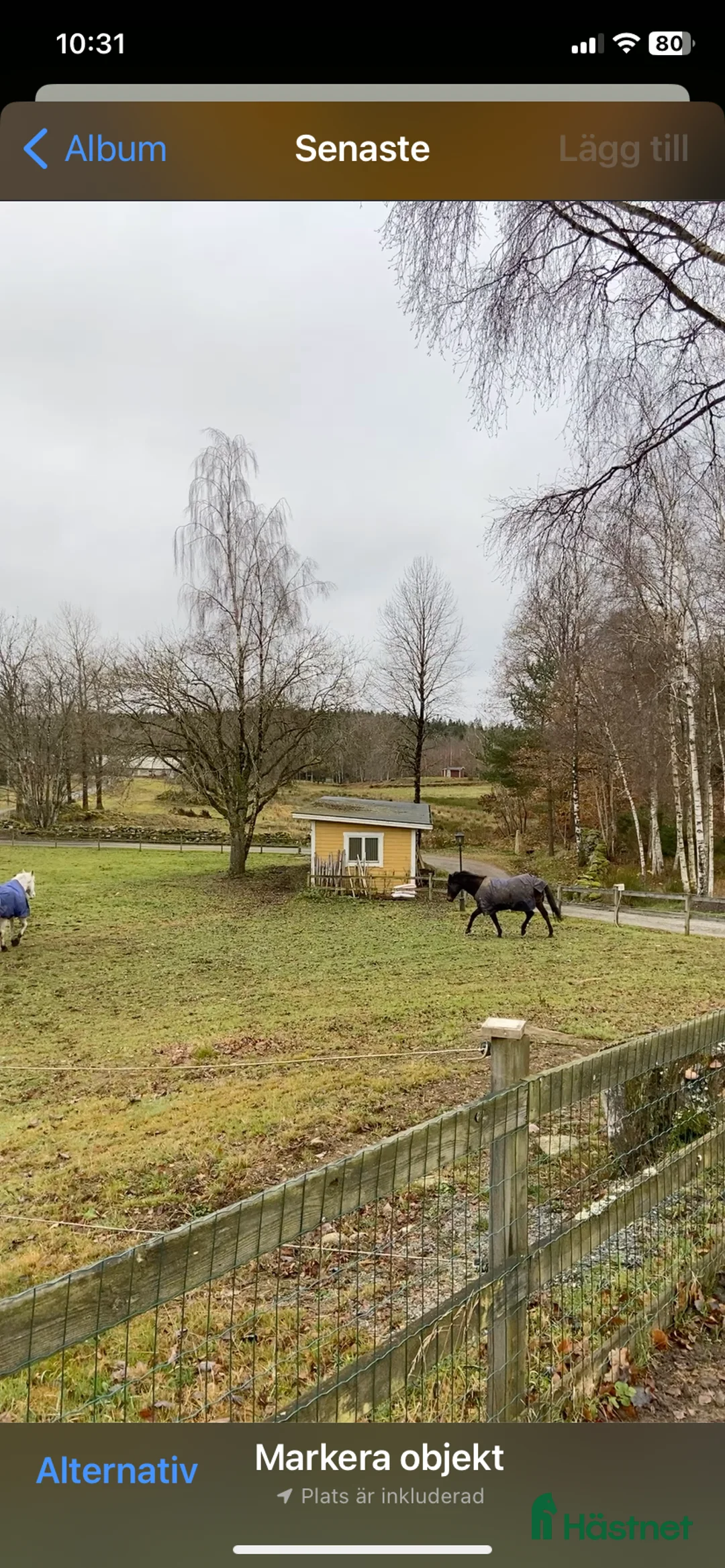  stallplats finnes: Lösdrift  i Fjärås - Annons 1
