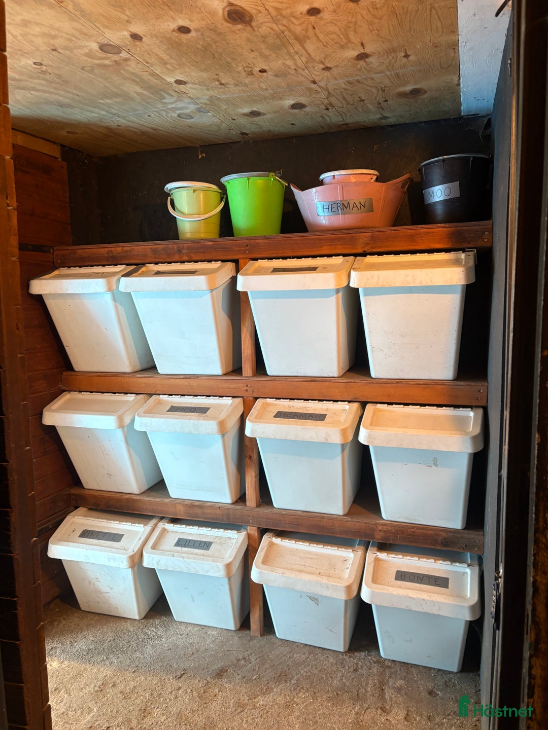  stallplats finnes: Lediga boxplatser i Vallentuna - Annons 4