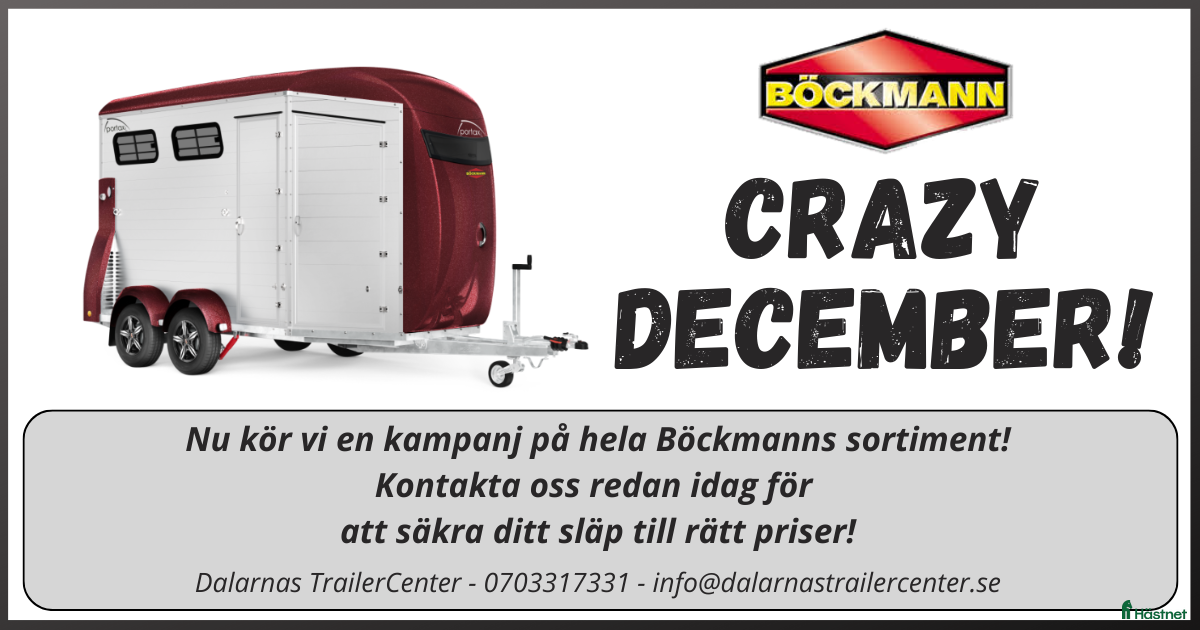 Hästtransporter  fordon & transport till salu: Böckmann CRAZY DECEMBER - Kampanj! - Annons 3
