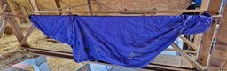 Täcken hästutrustning till salu: Täcken stl 125-135 i Lund - Annons 5