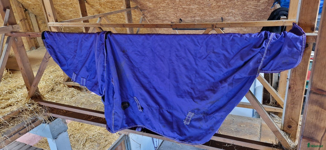 Täcken hästutrustning till salu: Täcken stl 125-135 i Lund - Annons 5